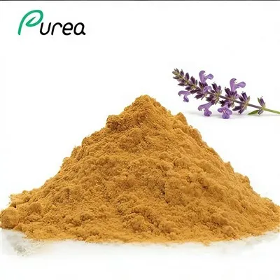 Extrakt z Ajuga Turkestanica v prášku